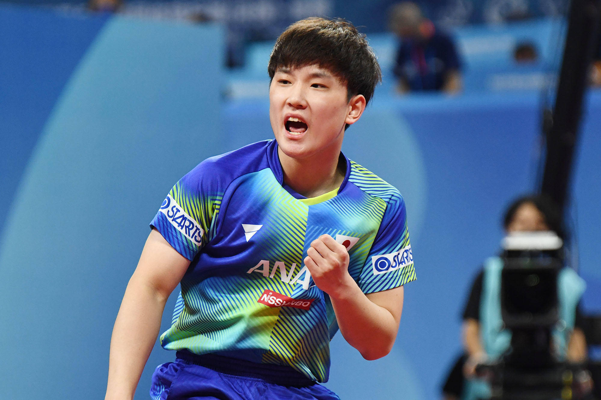 培育年轻球 培育年轻球