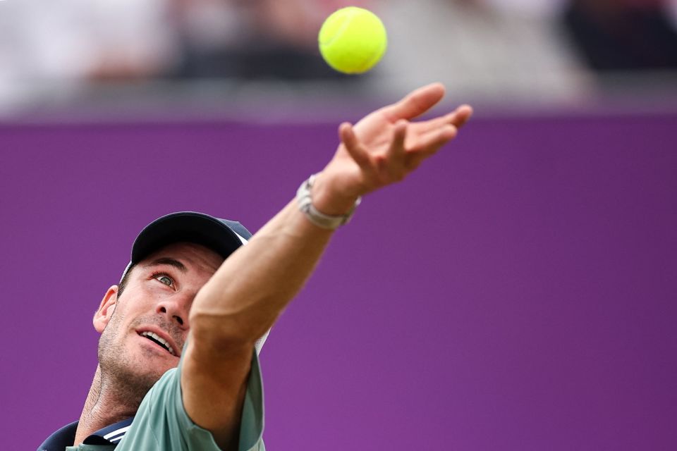 然不是联盟 然不是联盟