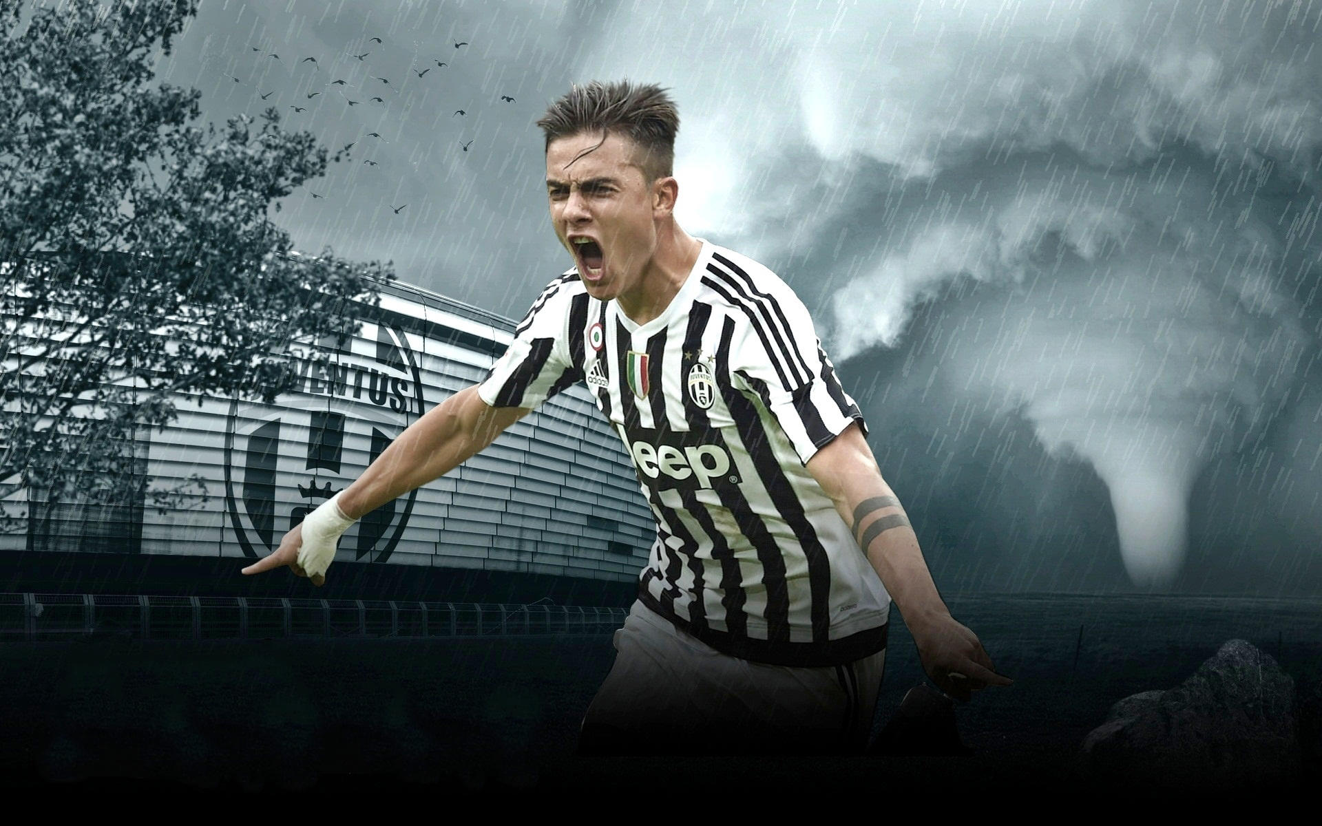 成价值重估 成价值重估